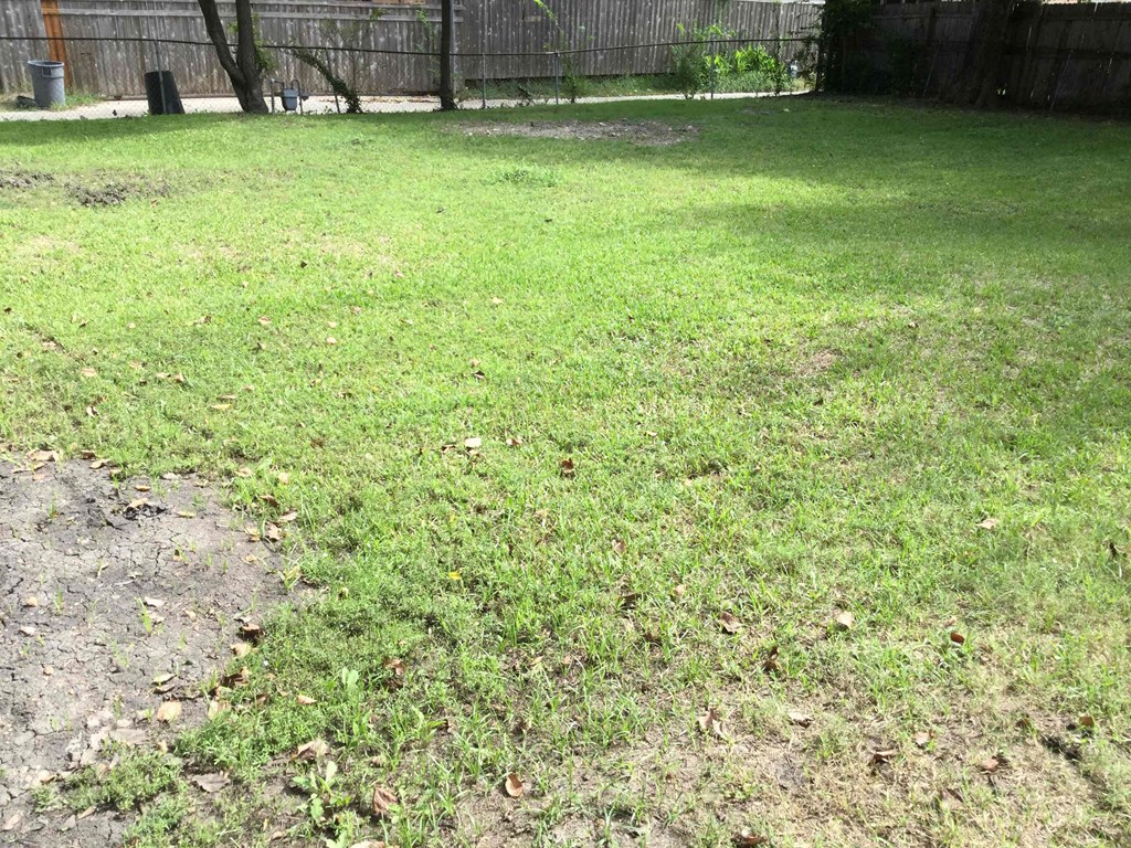 a yard with grass and dirt and a fence