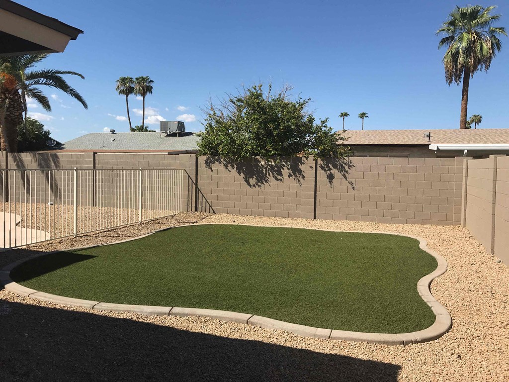 A backyard with a green lawn and a fence.