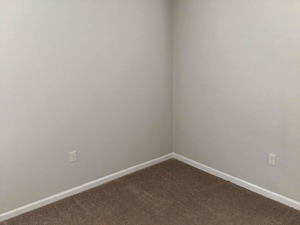 A room with a carpeted floor and two switches on the wall.