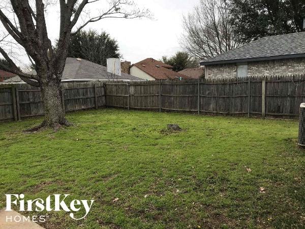 a backyard with a tree and a wooden fence
