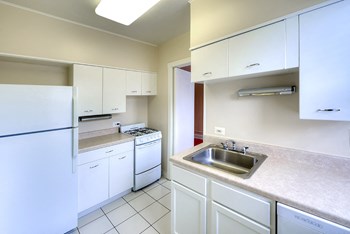 800-10 Michigan Ave & 201-09 Kedzie St 1-3 Beds Apartment for Rent - Photo Gallery 3