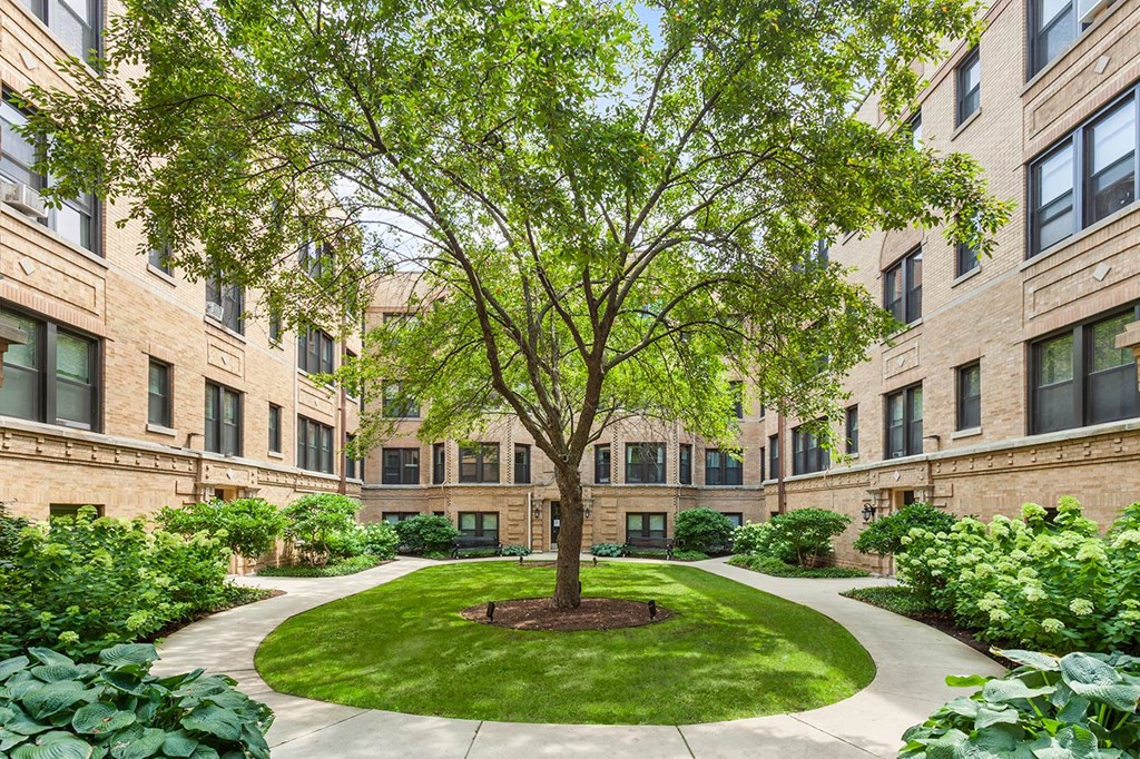 a tree in the middle of a courtyard in front of a building
