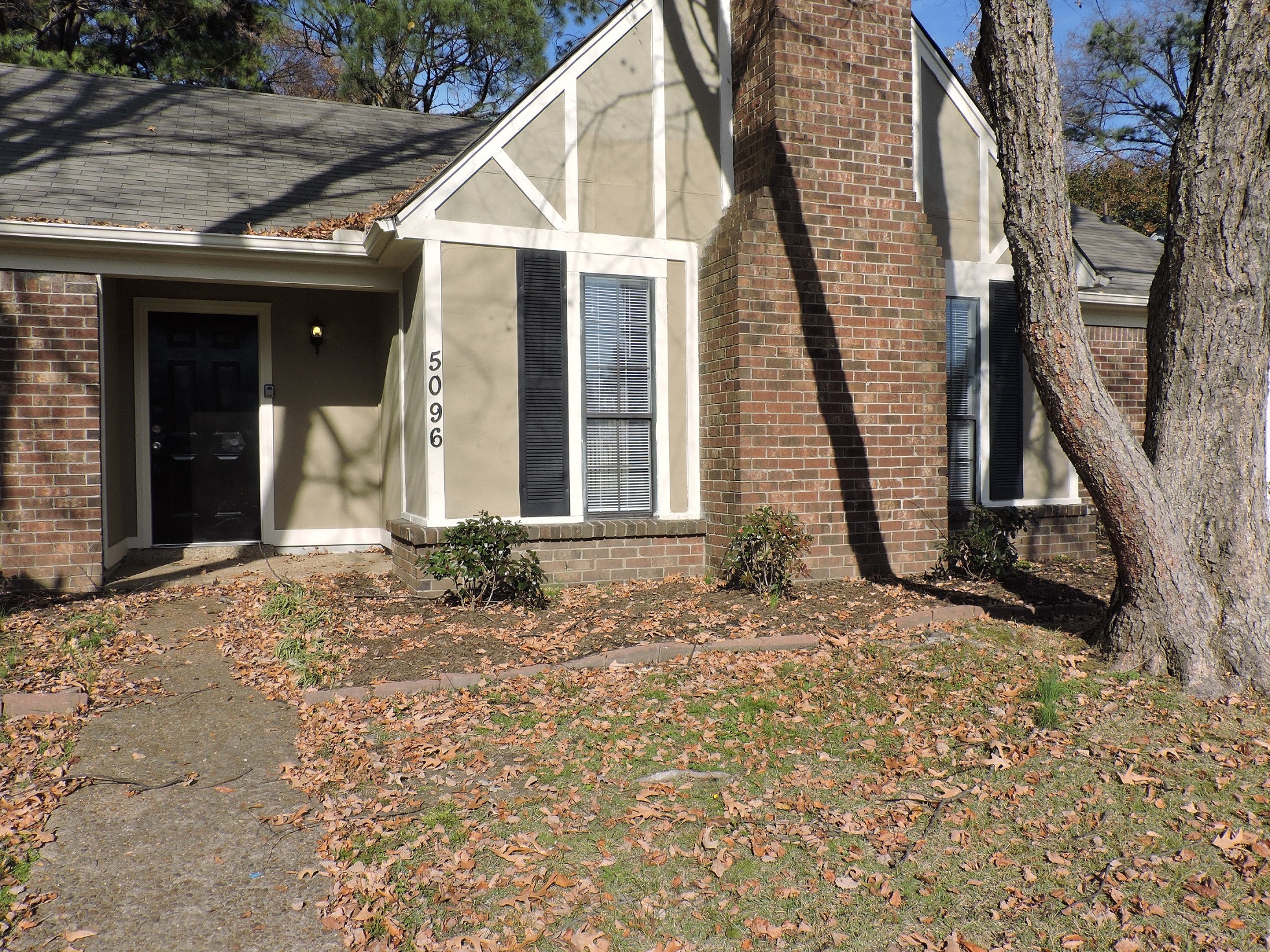 a view of the front of a house with a tree