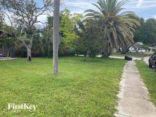 a sidewalk in the grass near a palm tree