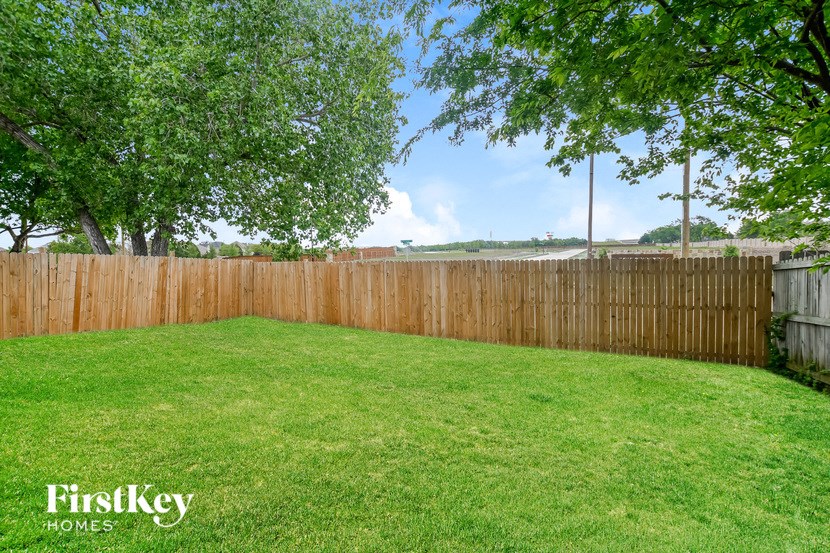 A backyard with a wooden fence and a grassy lawn.