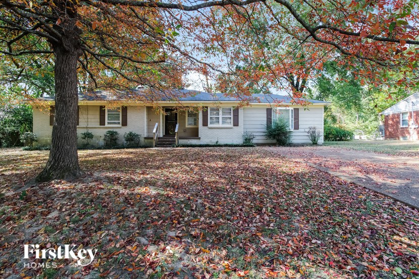 a white house with a large tree in front of it