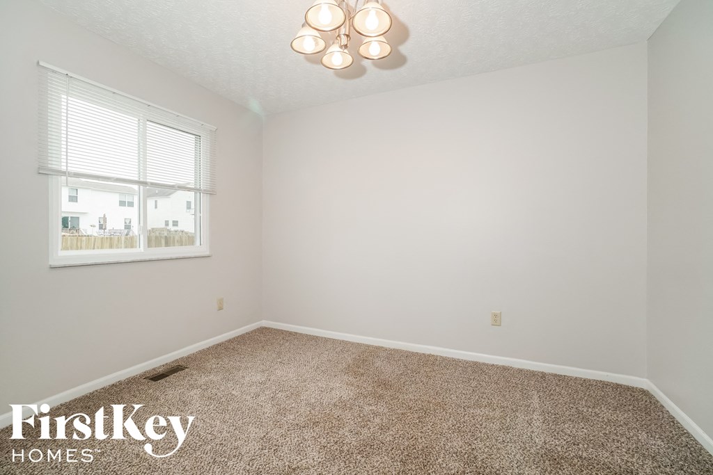 a bedroom with a carpeted floor and a window