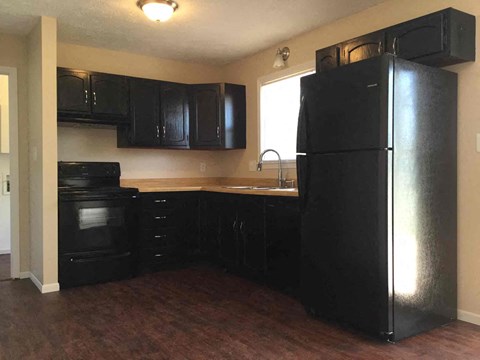 A black fridge in a kitchen with black cabinets.