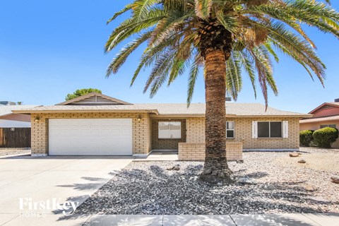 a palm tree in front of a house with a garage door