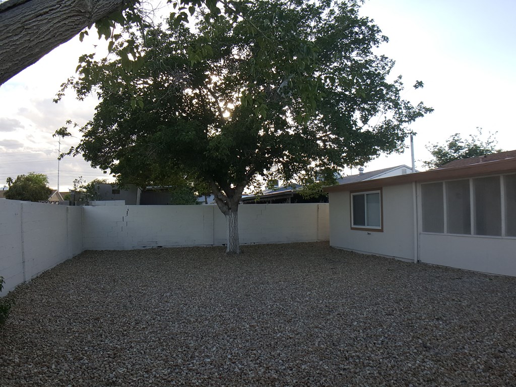 A tree in a backyard with a white fence.