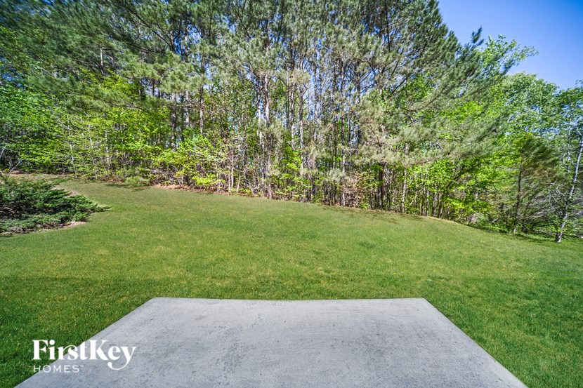 a backyard with green grass and trees and a concrete patio
