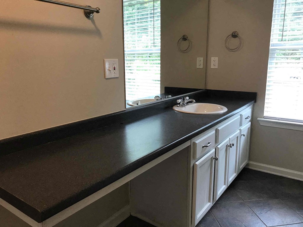 a bathroom with a sink and a mirror