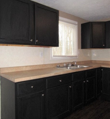 A kitchen with black cabinets and a sink.