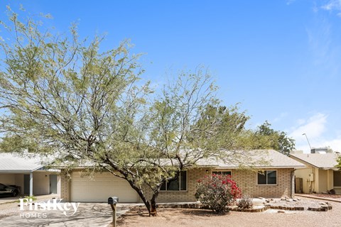 a house with a tree in front of it