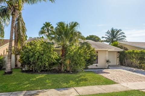 a house with palm trees and a driveway