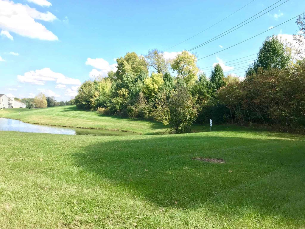 a grassy field with a body of water and trees