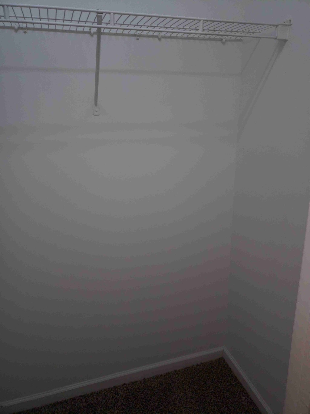 closet in a small room with a shower curtain