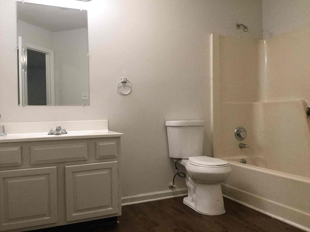 a bathroom with a toilet and a sink and a bath tub