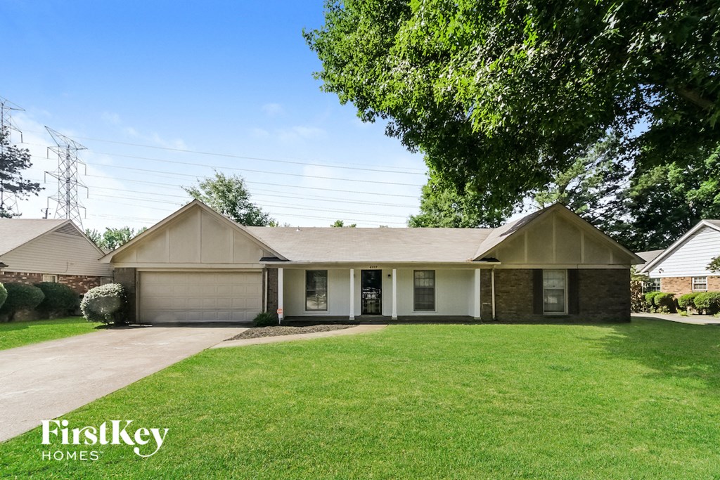 a suburban house with a lawn and a tree