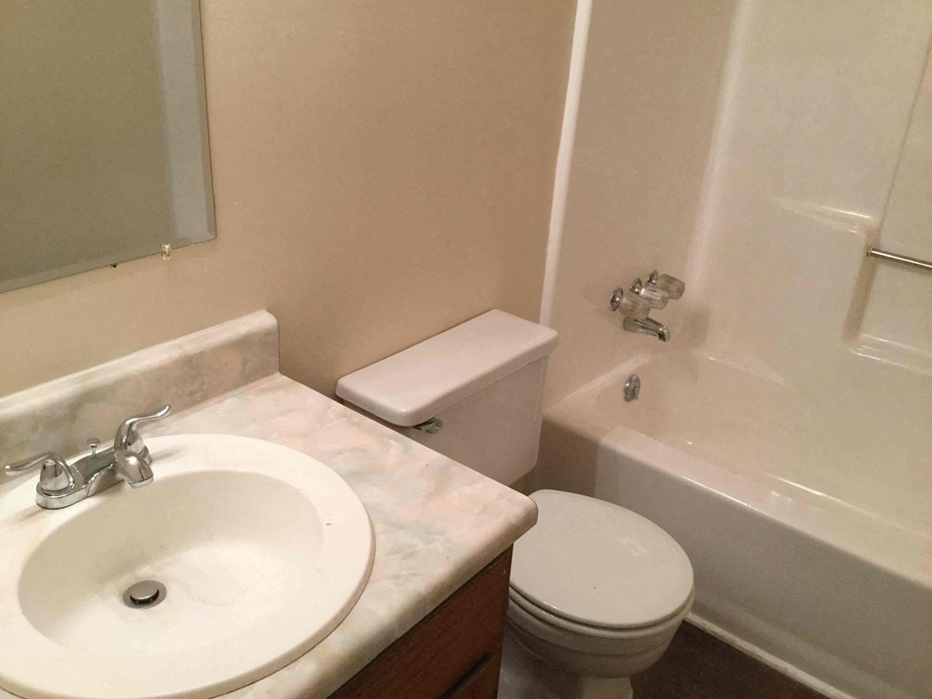 a bathroom with a sink and a toilet and a bath tub