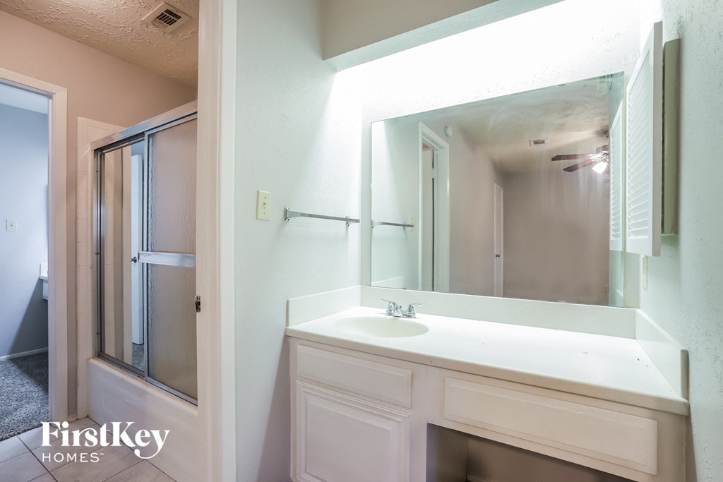 a bathroom with a sink and a mirror and a shower