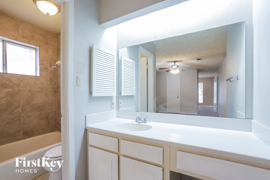 a bathroom with a sink and a large mirror