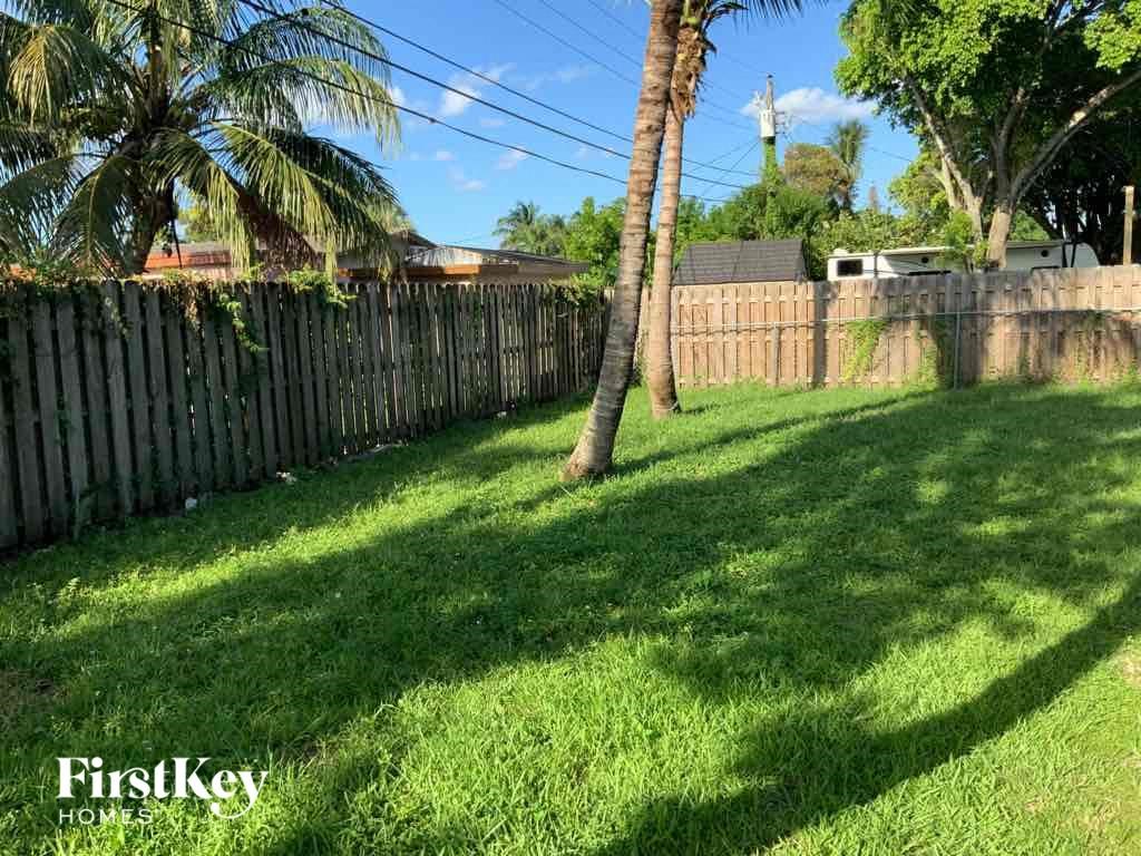 a backyard with a fence and palm trees