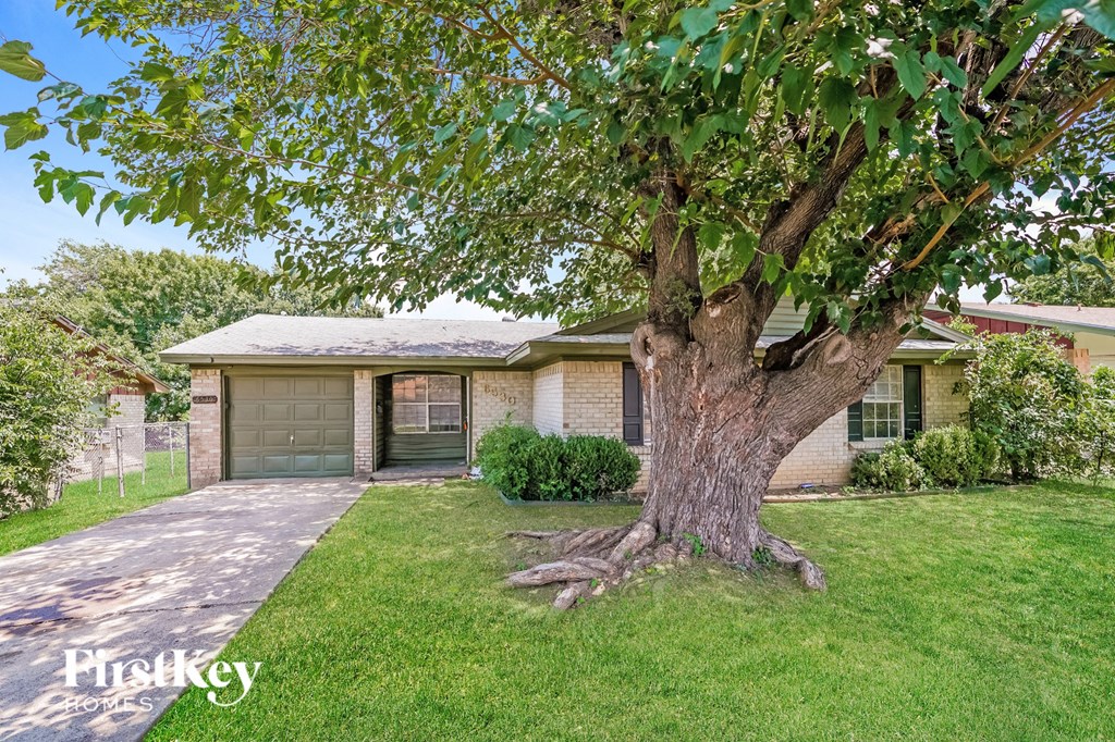 a house with a large tree in the front of it