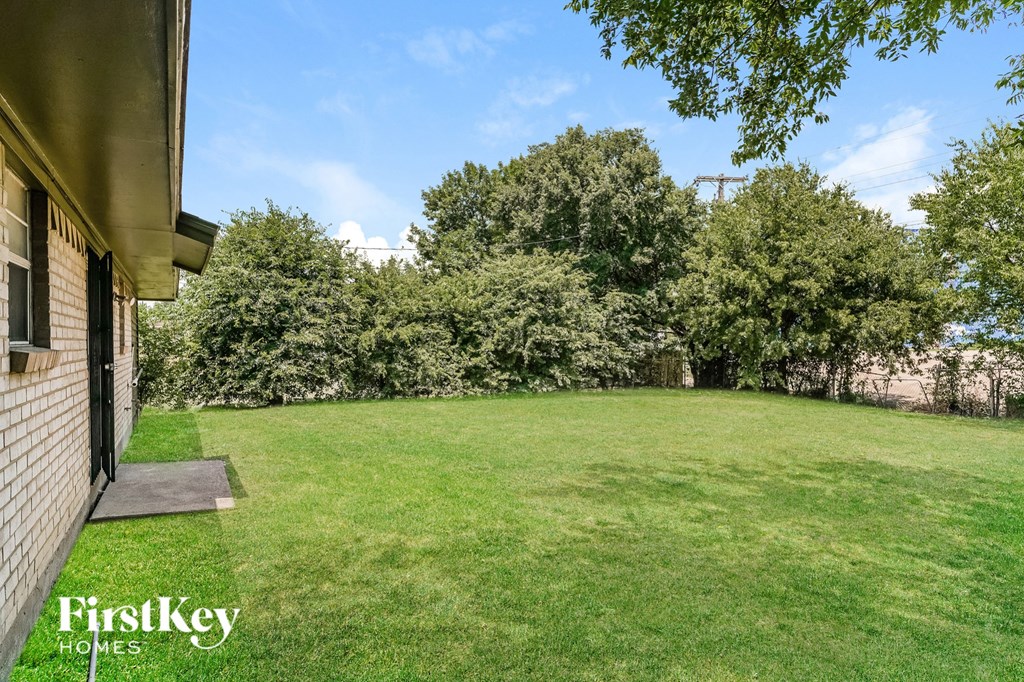 a backyard with a green lawn and trees