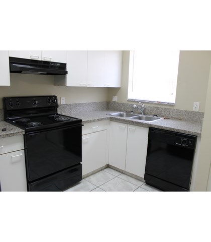 A black oven sits next to a white dishwasher in a kitchen.
