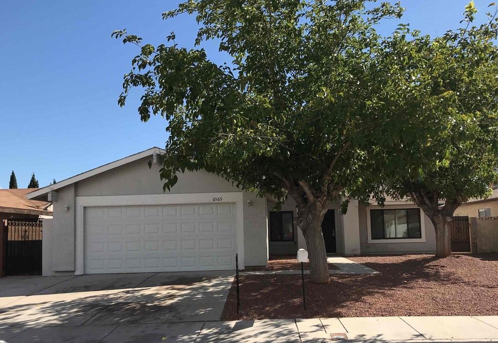 A house with a white garage door and a tree in front.