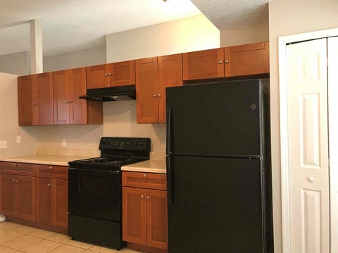 A black refrigerator is in a kitchen with wooden cabinets.