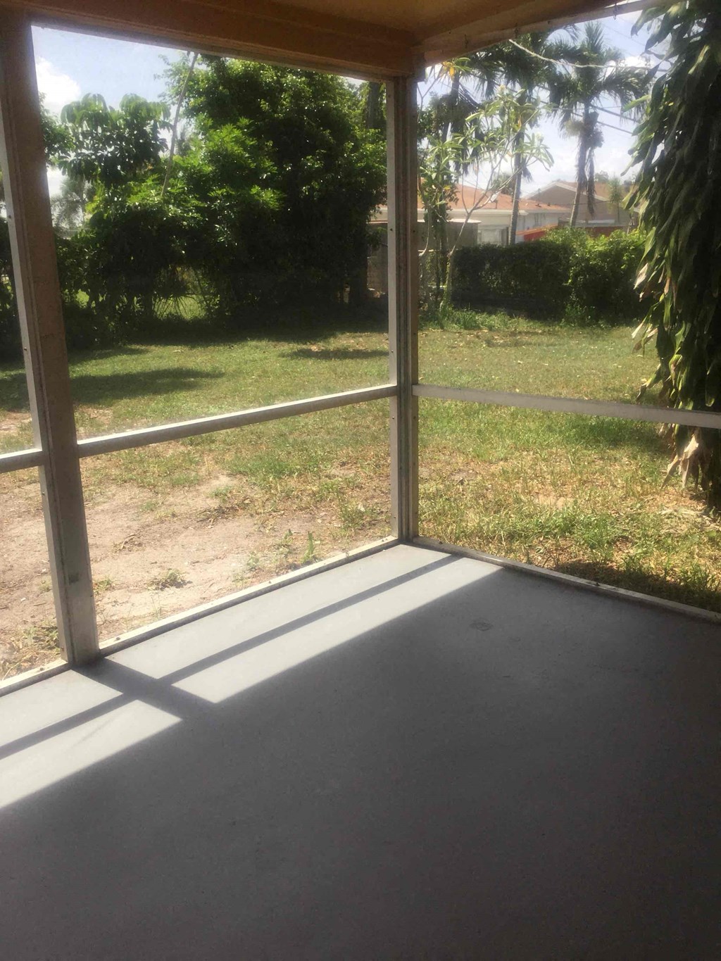 A view from inside a room looking out to a backyard.