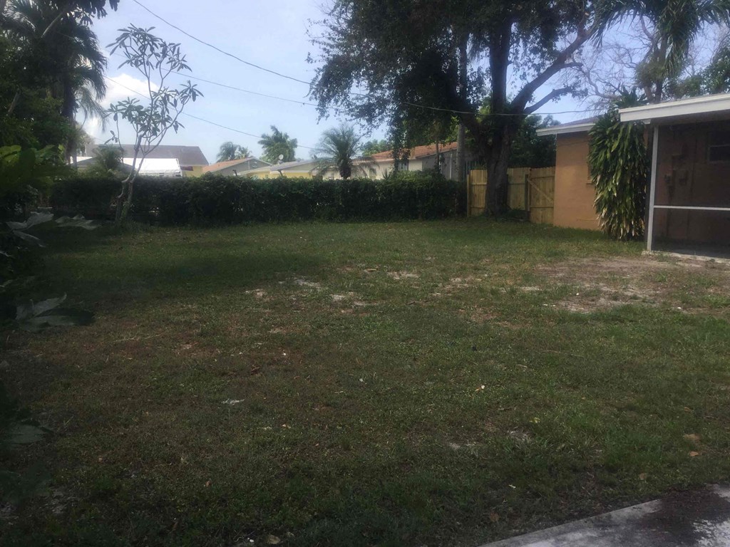 A backyard with a brown fence and a tree.
