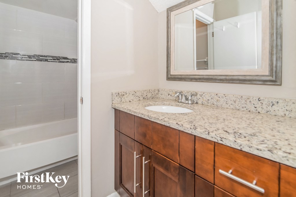 a bathroom with a sink and a mirror and a shower