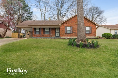 a red brick house with a tree in the yard