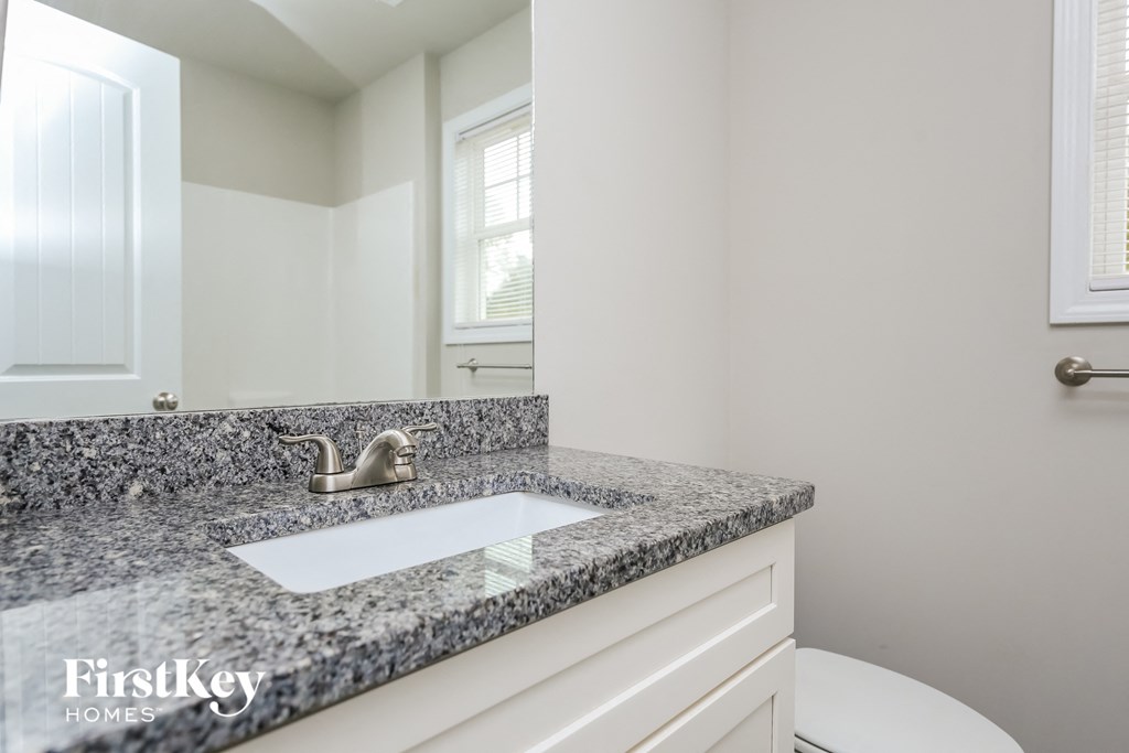 a bathroom with a sink and a mirror and a toilet