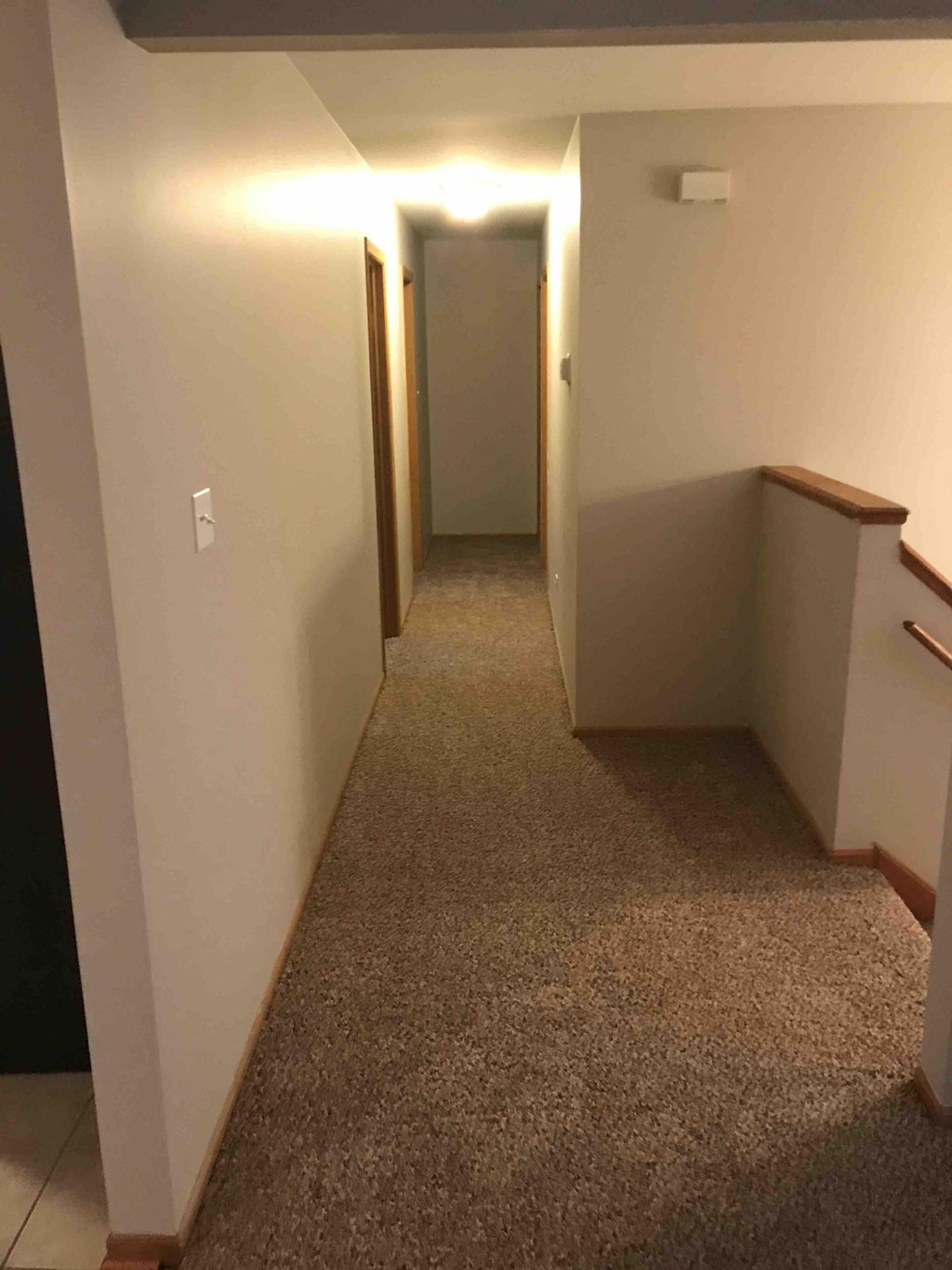 a hallway with a carpeted floor and a door to a closet