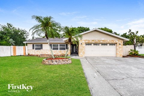 a palm tree in the front yard of a house