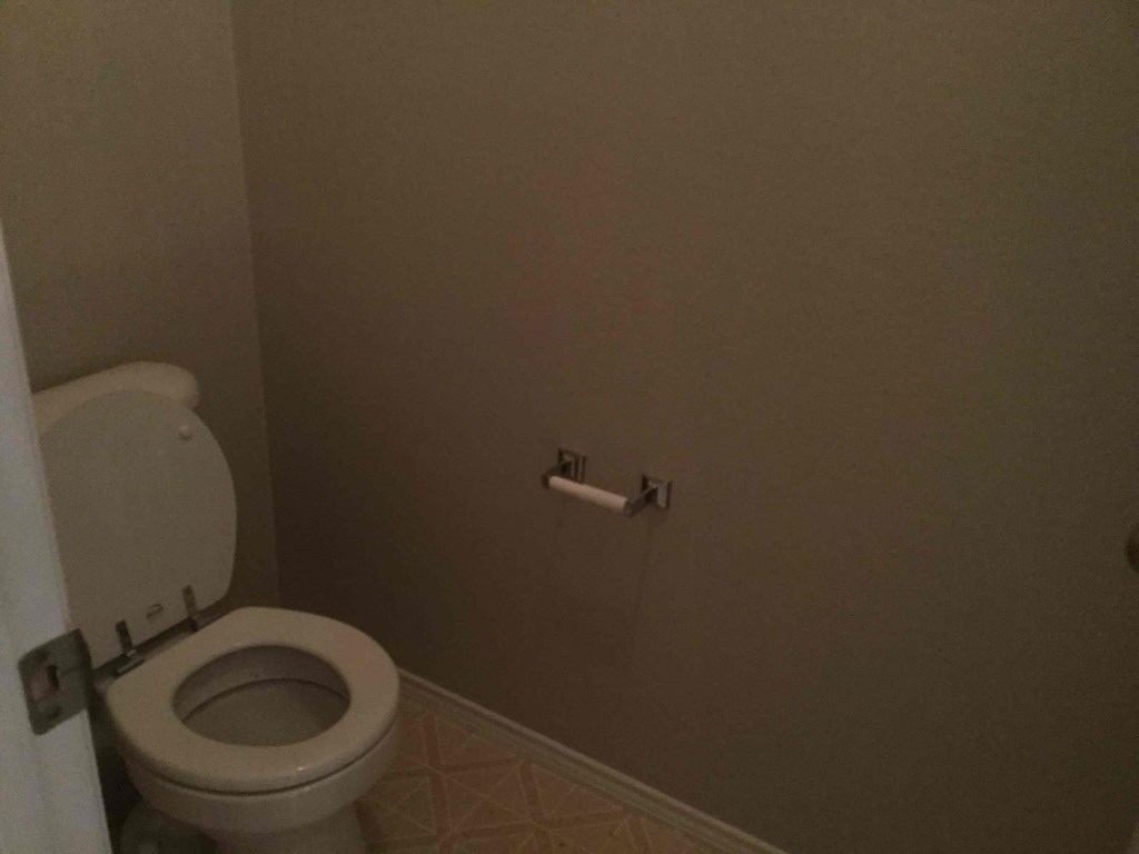 a bathroom with a toilet and a roll of toilet paper
