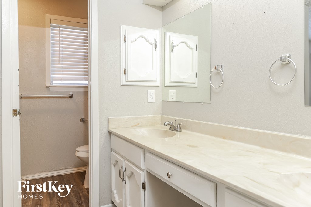 a bathroom with a sink and a mirror and a toilet