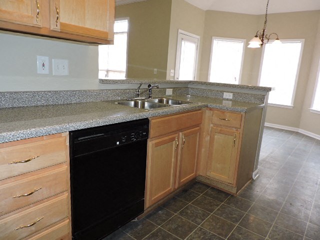 a kitchen with a sink and a dishwasher