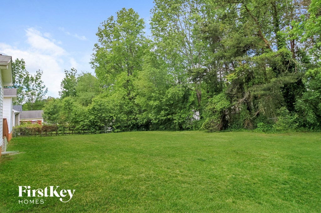 a large lawn in a backyard with trees