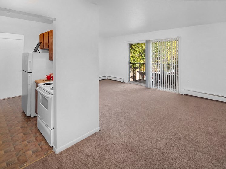 Open Concept Apartment