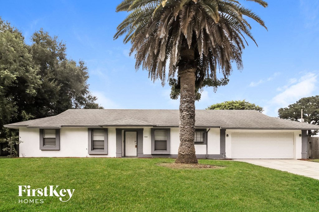 a house with a palm tree in front of it