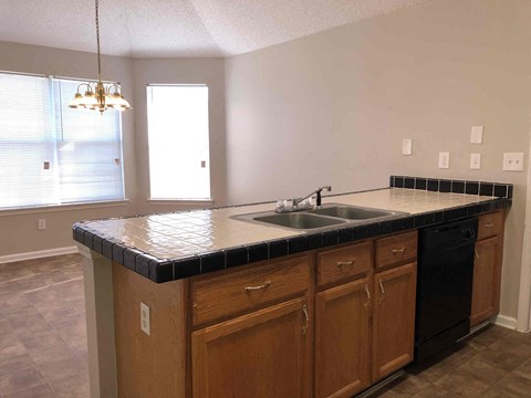 a kitchen with a sink and a counter top
