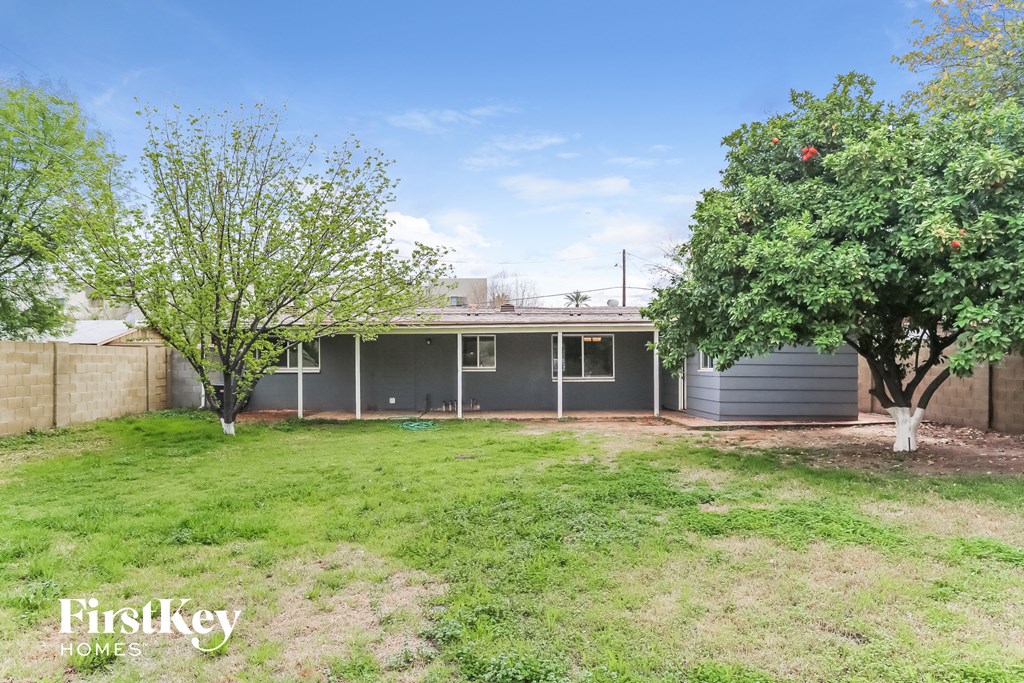 a backyard with two trees and a house