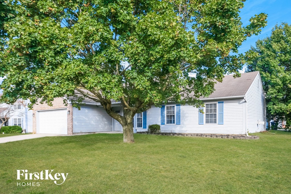 a white house with a large tree in front of it