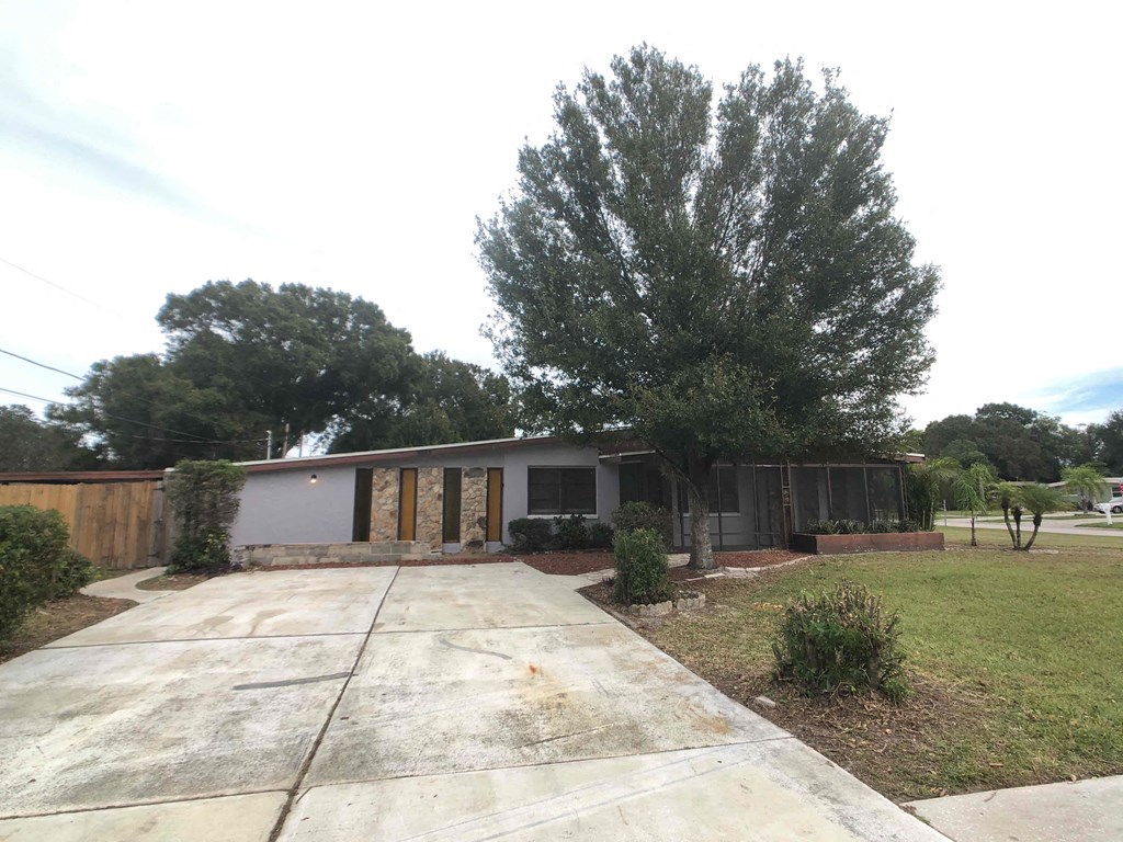 A house with a driveway and a large tree in front.