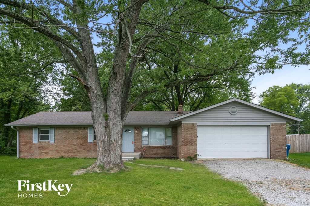 a brick house with a large tree in the yard
